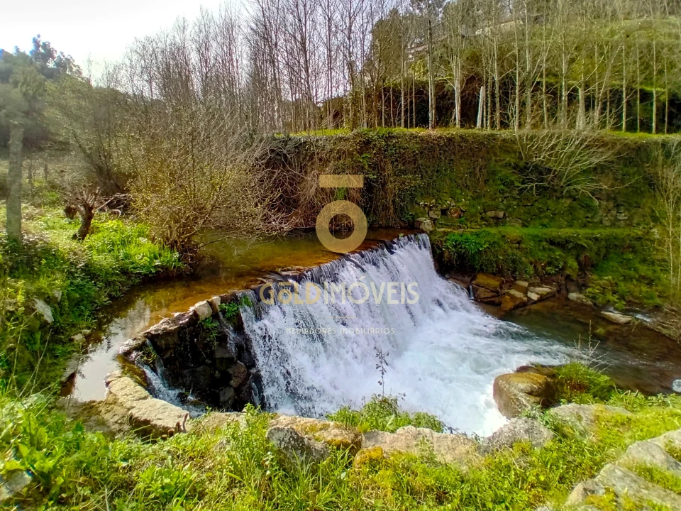 Moradia T0 para Venda em Santa Maria de Sardoura Foto 37