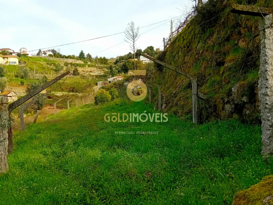 Moradia T0 para Venda em Santa Maria de Sardoura Foto 30