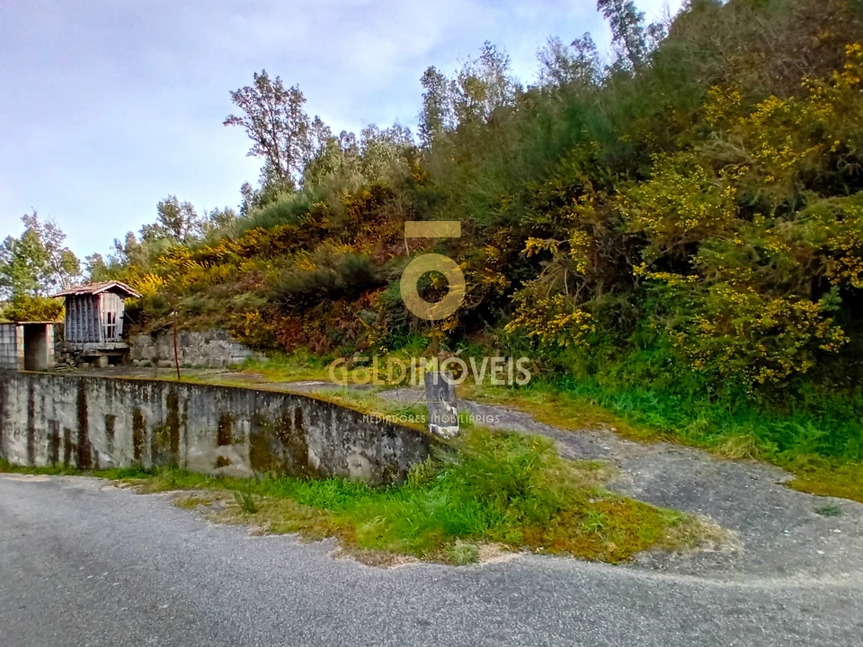 Moradia T0 para Venda em Santa Maria de Sardoura Foto 17