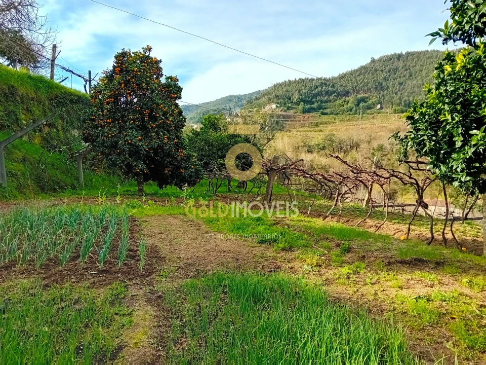 Moradia T0 para Venda em Santa Maria de Sardoura Foto 11