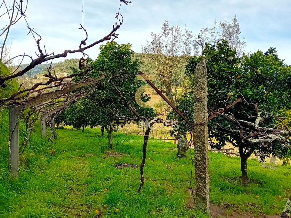 Moradia T0 para Venda em Santa Maria de Sardoura Foto 10