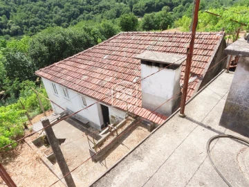 Moradia T2 para Venda em Baião (Santa Leocádia) e Mesquinhata
