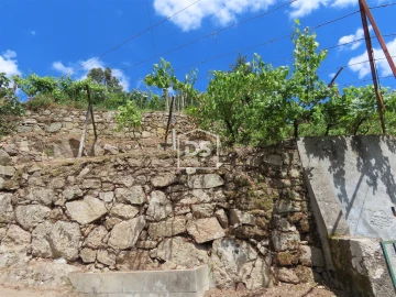 Moradia T2 para Venda em Baião (Santa Leocádia) e Mesquinhata