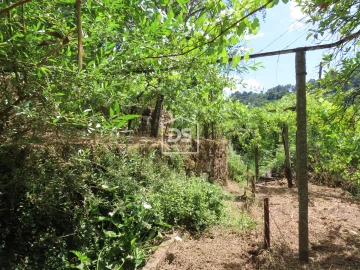 Moradia T2 para Venda em Baião (Santa Leocádia) e Mesquinhata