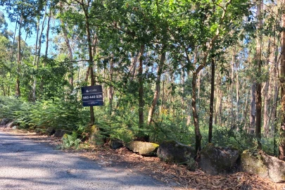 Terreno para Venda em Paredes