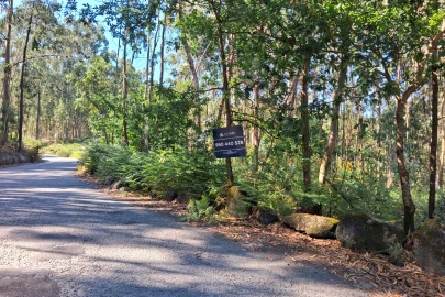 Terreno para Venda em Paredes