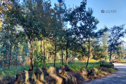 Terreno para Venda em Paredes