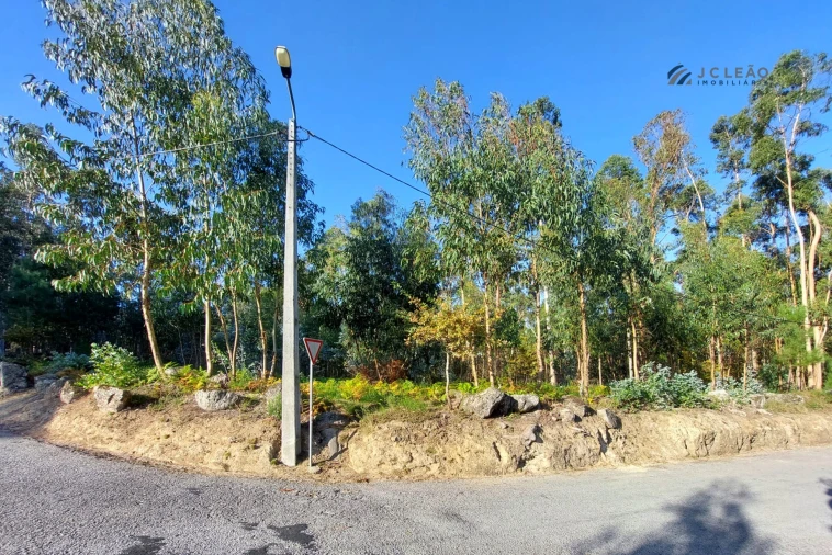 Terreno para Venda em Paredes Foto 6
