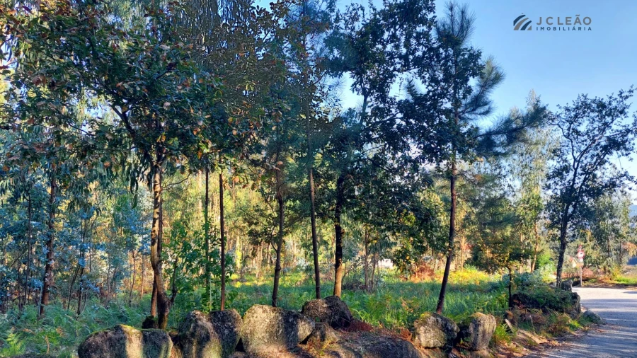 Terreno para Venda em Paredes