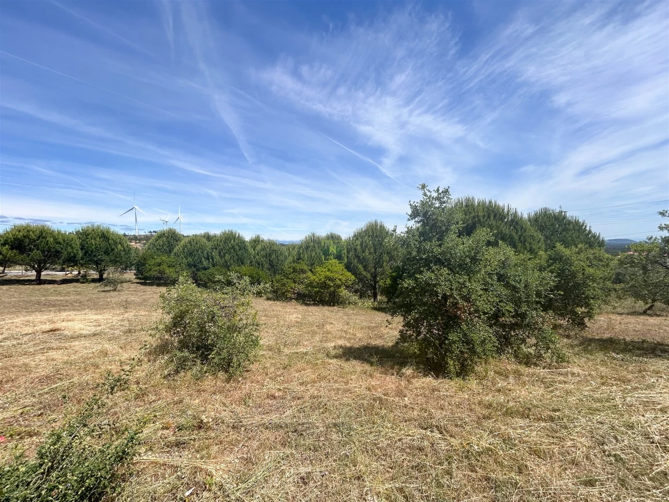 Terreno para Venda em Cebolais de Cima e Retaxo Foto 34