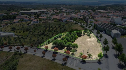 Terreno para Venda em Cebolais de Cima e Retaxo