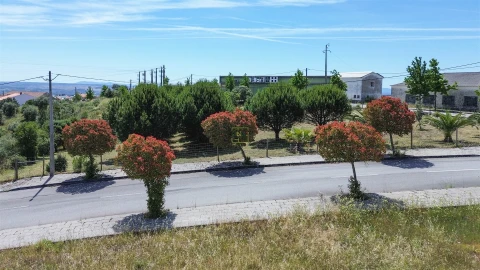 Terreno para Venda em Cebolais de Cima e Retaxo