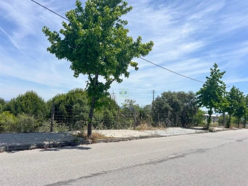 Terreno para Venda em Cebolais de Cima e Retaxo