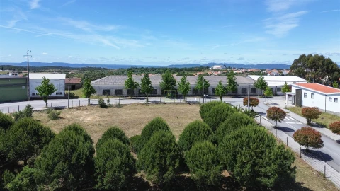 Terreno para Venda em Cebolais de Cima e Retaxo