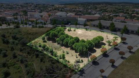 Terreno para Venda em Cebolais de Cima e Retaxo