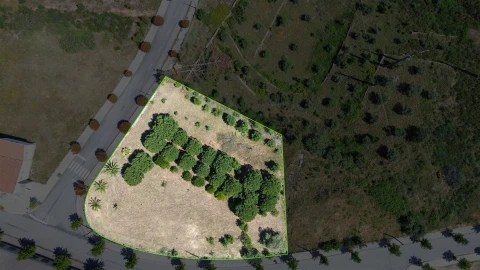 Terreno para Venda em Cebolais de Cima e Retaxo
