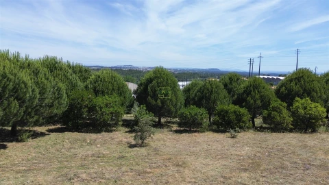 Terreno para Venda em Cebolais de Cima e Retaxo