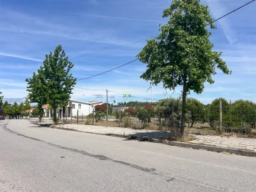 Terreno para Venda em Cebolais de Cima e Retaxo
