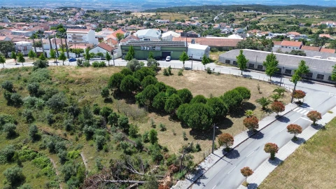 Terreno para Venda em Cebolais de Cima e Retaxo