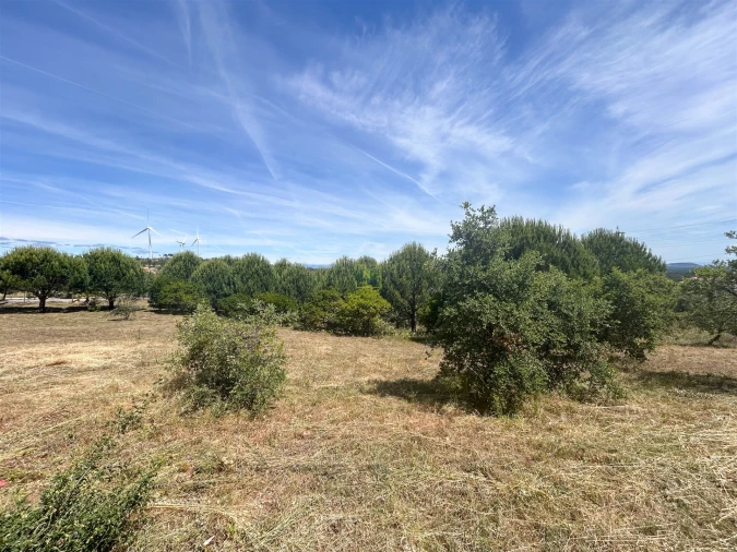 Terreno para Venda em Cebolais de Cima e Retaxo Foto 34