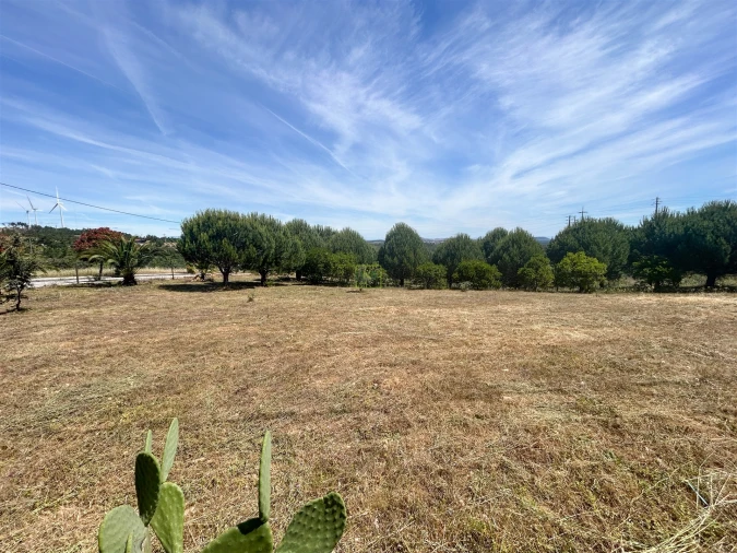 Terreno para Venda em Cebolais de Cima e Retaxo Foto 35