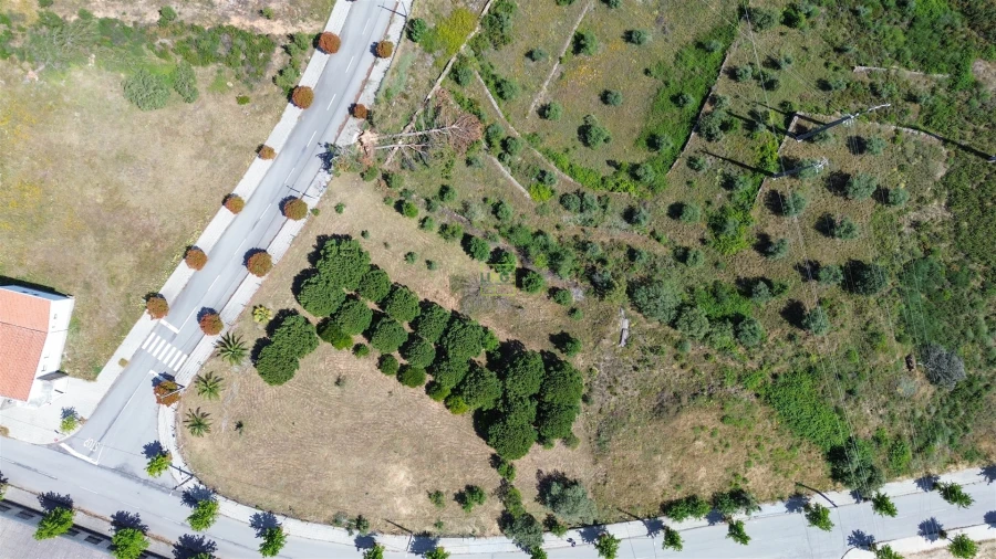 Terreno para Venda em Cebolais de Cima e Retaxo Foto 2