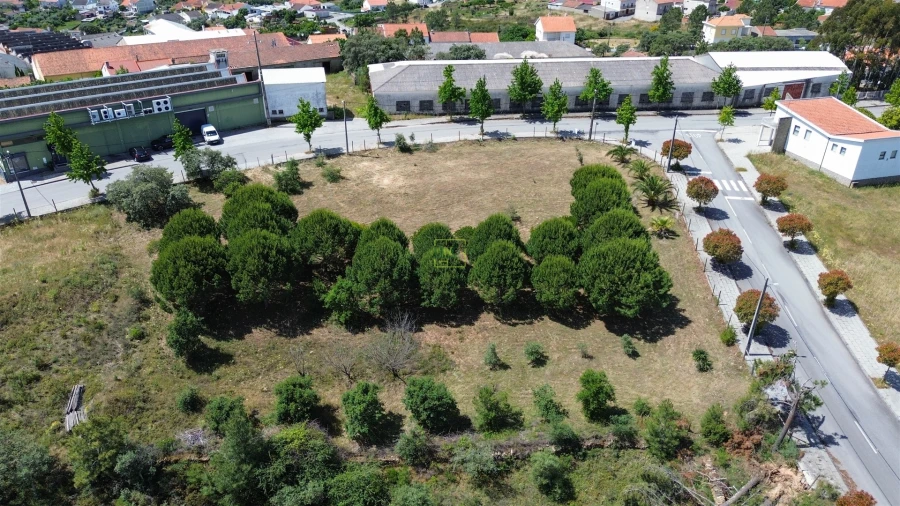 Terreno para Venda em Cebolais de Cima e Retaxo Foto 21
