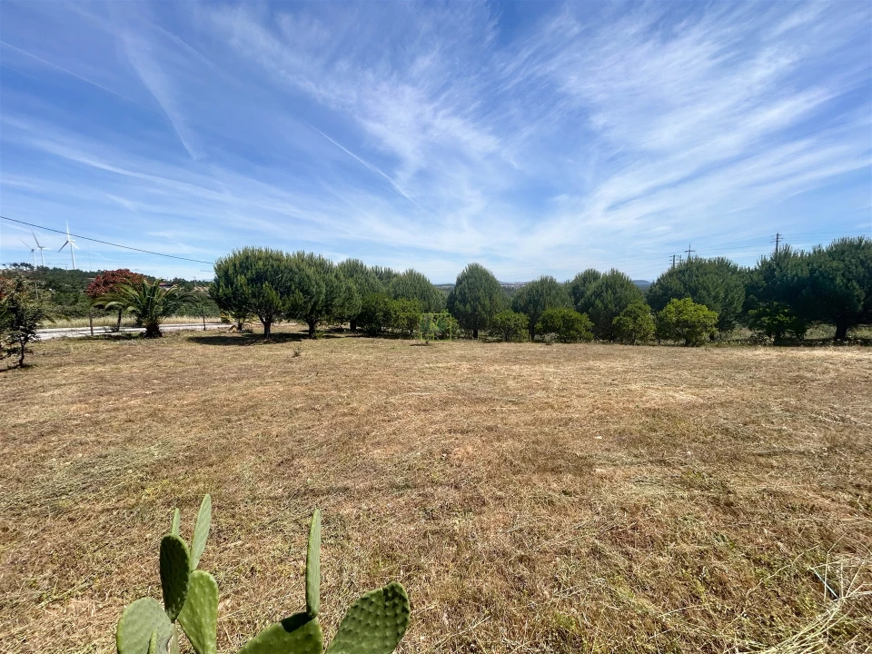 Terreno para Venda em Cebolais de Cima e Retaxo Foto 35