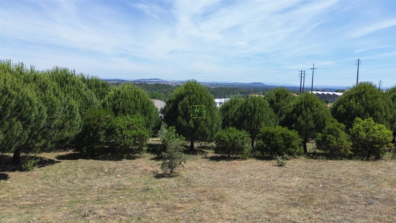 Terreno para Venda em Cebolais de Cima e Retaxo Foto 17
