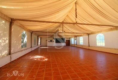 Quinta T10 para Venda em Orjais