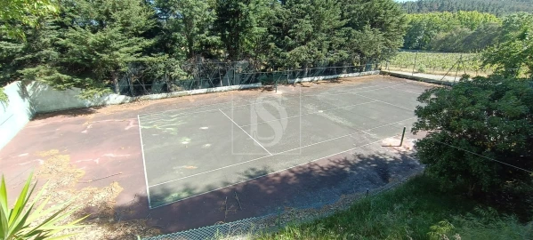 Quinta T10 para Venda em Orjais