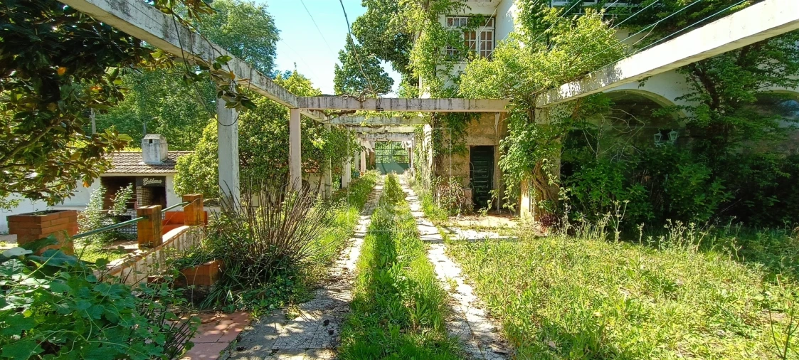 Quinta T10 para Venda em Orjais Foto 55