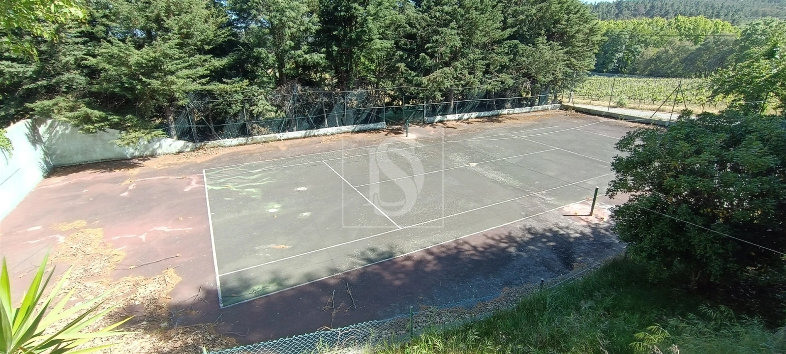 Quinta T10 para Venda em Orjais Foto 57