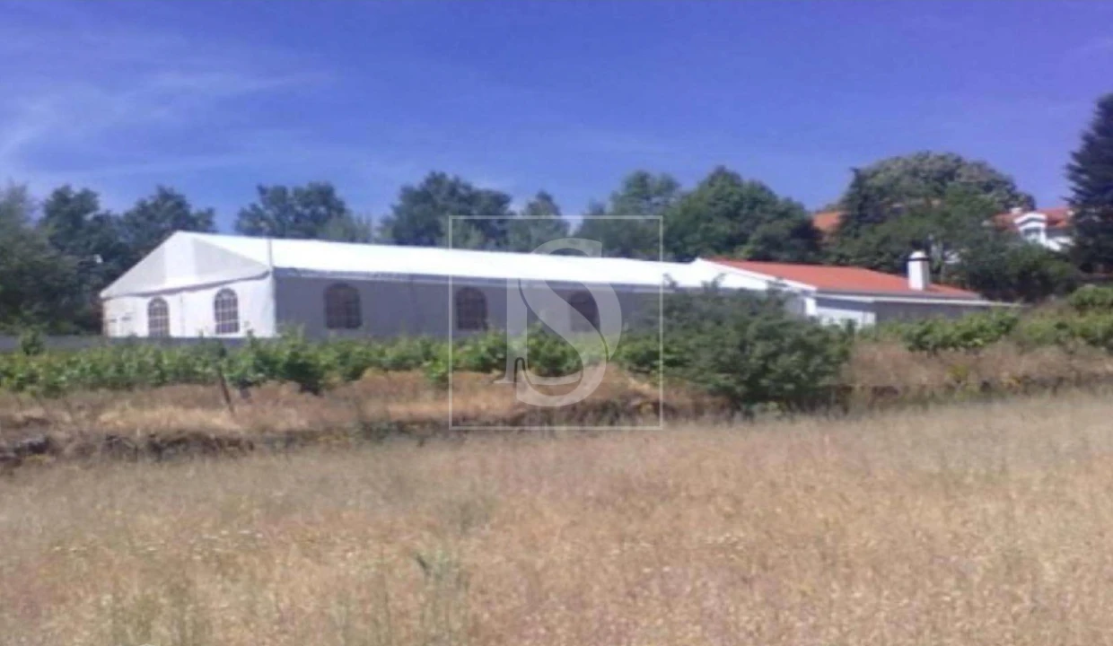 Quinta T10 para Venda em Orjais Foto 8