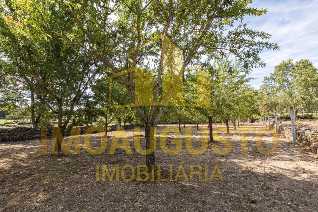 Moradia T3 para Venda em Vila Fernando Foto 27