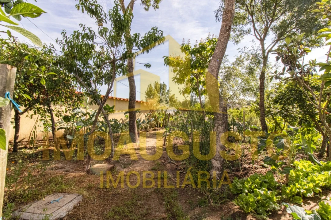 Moradia T3 para Venda em Vila Fernando Foto 28