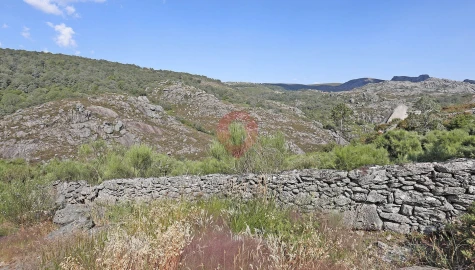 Terreno para Venda em Chaviães e Paços