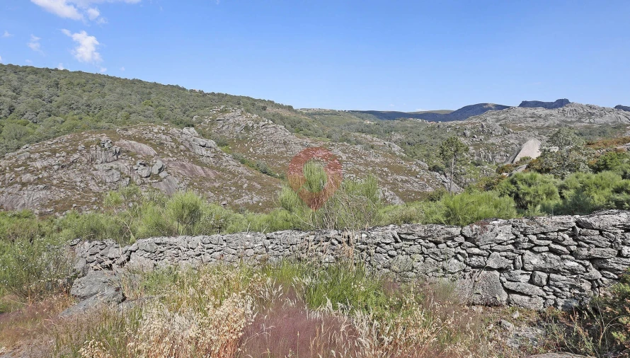 Terreno para Venda em Chaviães e Paços Foto 7