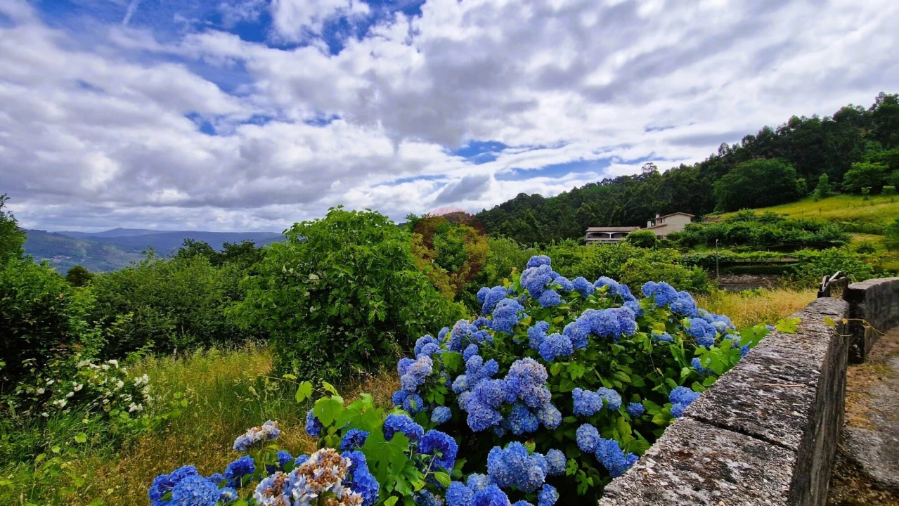 Terreno para Venda em Chaviães e Paços Foto 3