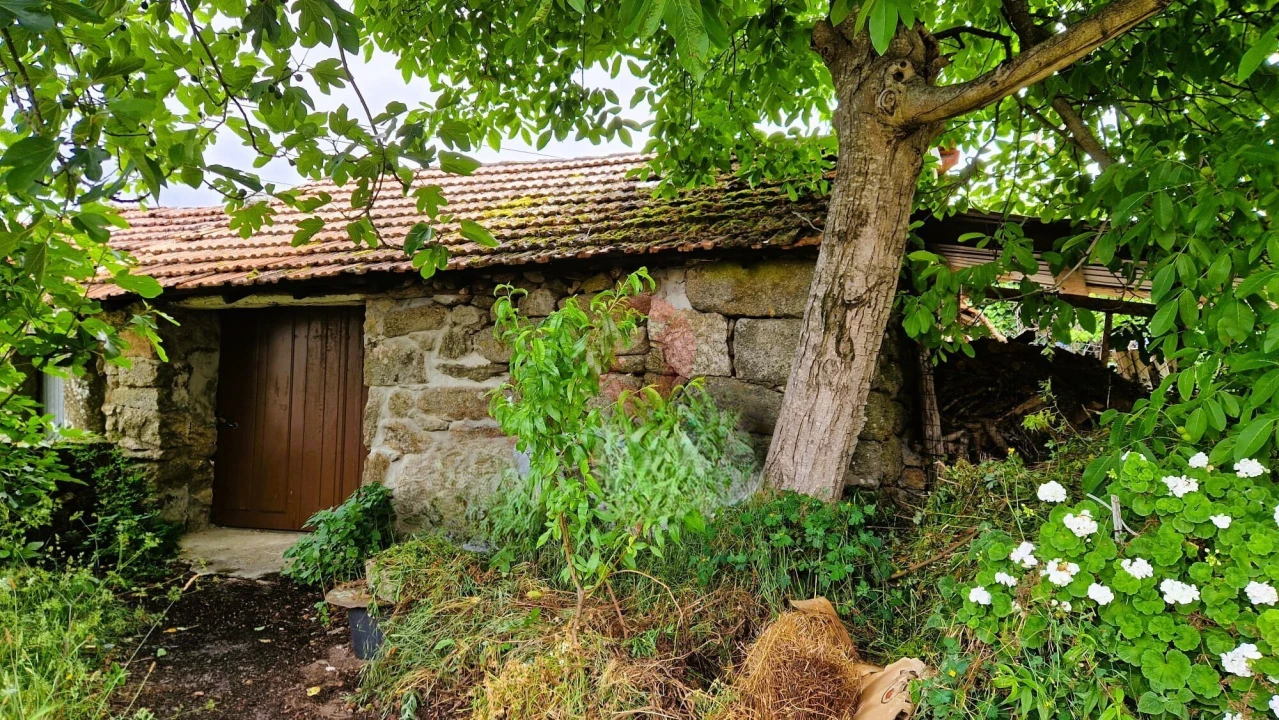 Moradia T2 para Venda em Chaviães e Paços Foto 1