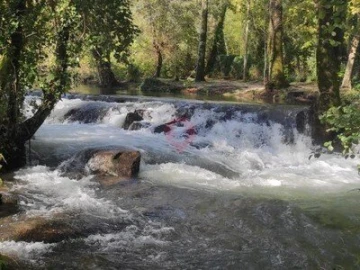 Moradia T3 para Venda em Moreira