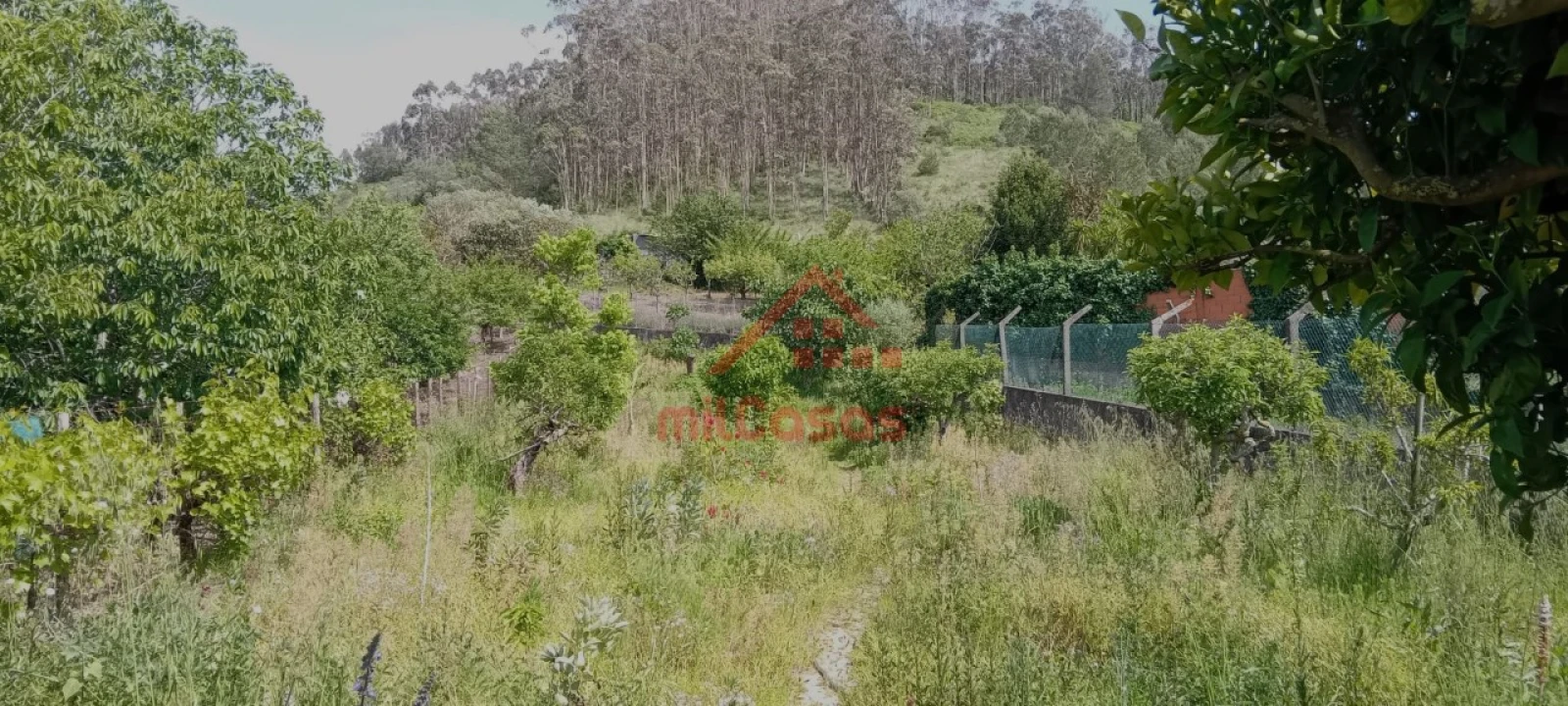 Moradia T4 para Venda em Vila Verde dos Francos Foto 7