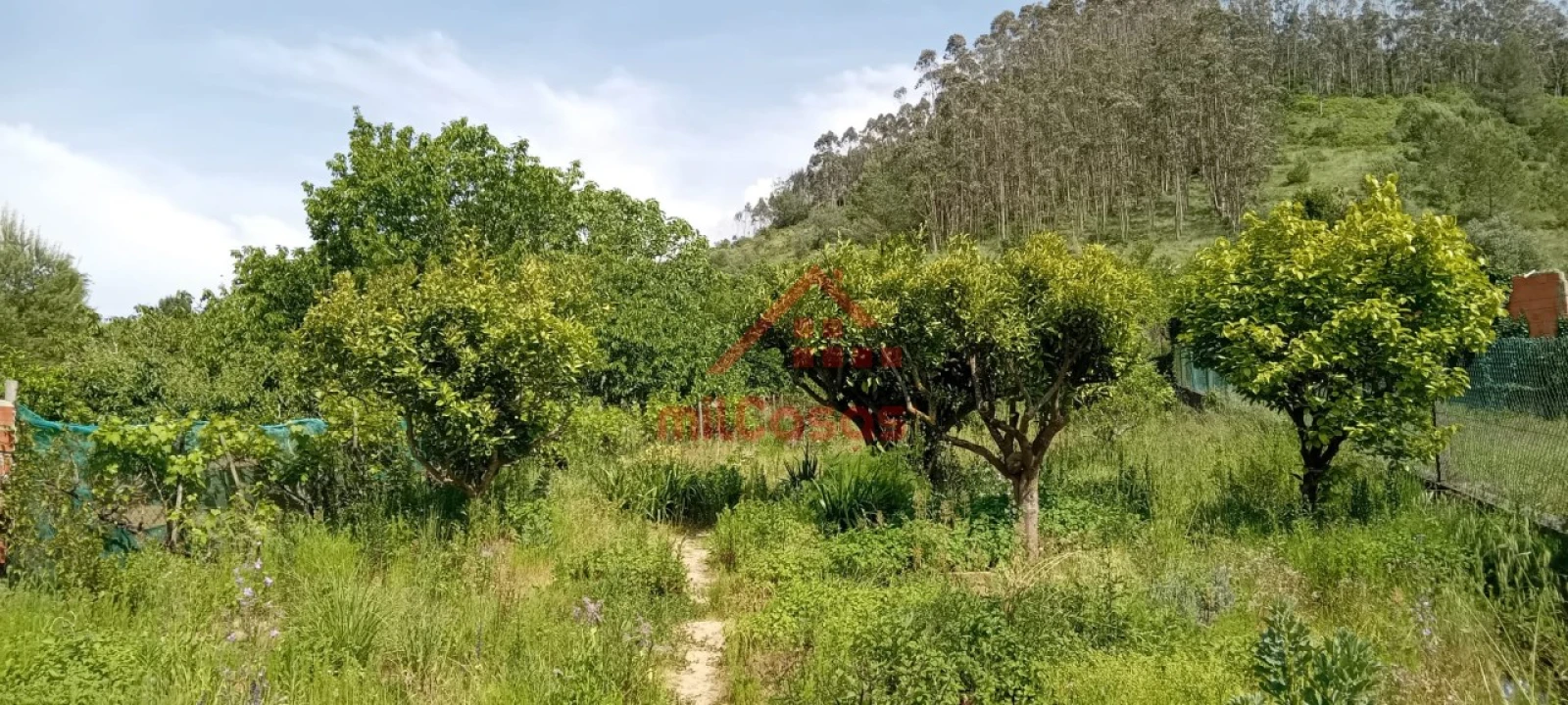 Moradia T4 para Venda em Vila Verde dos Francos Foto 9