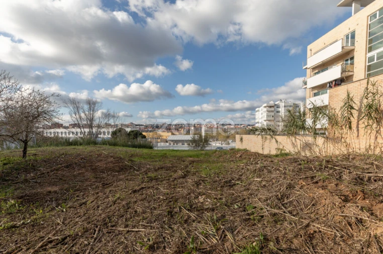 Terreno para Venda em Santo Antonio dos Olivais Foto 6
