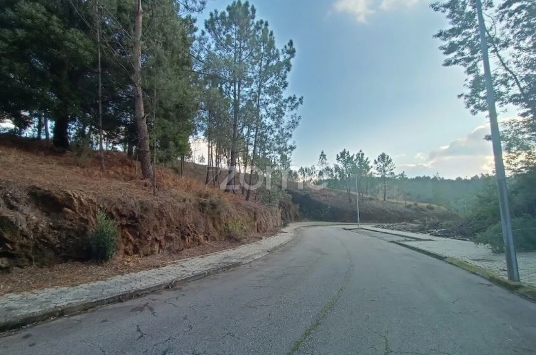Terreno para Venda em Nogueira do Cravo e Pindelo Foto 11