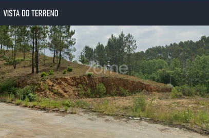 Terreno para Venda em Nogueira do Cravo e Pindelo
