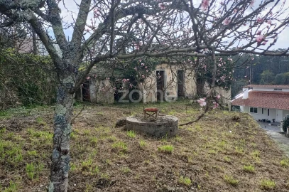 Moradia T4 para Venda em Nogueira do Cravo e Pindelo