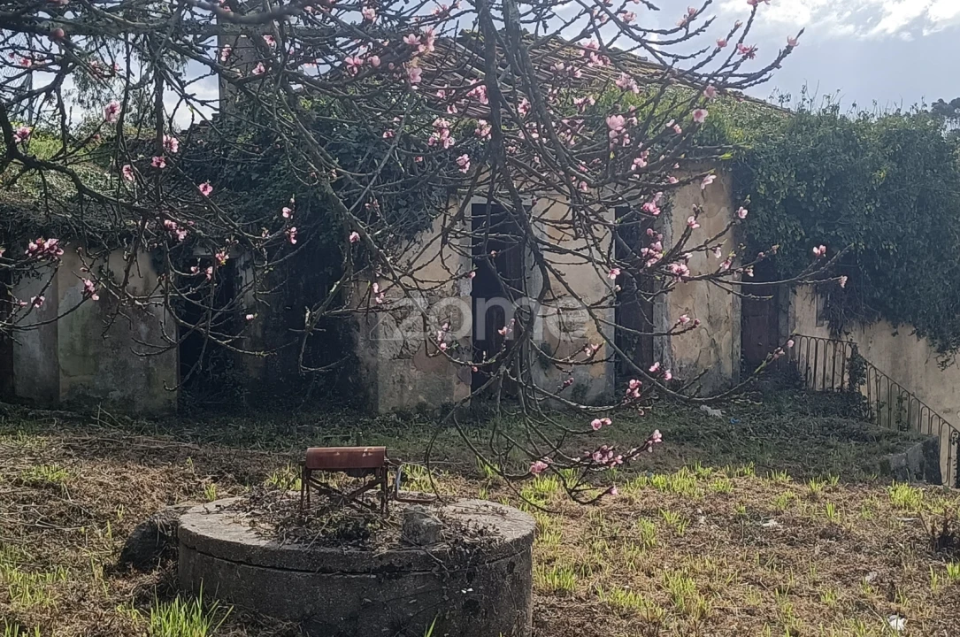 Moradia T4 para Venda em Nogueira do Cravo e Pindelo Foto 14