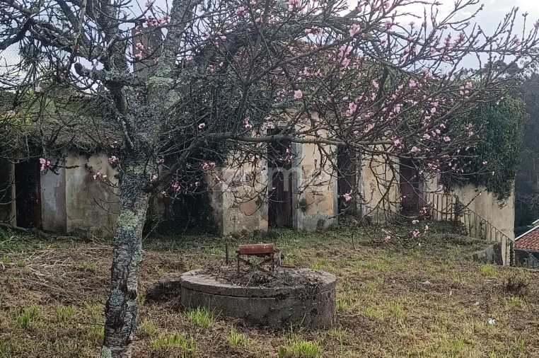 Moradia T4 para Venda em Nogueira do Cravo e Pindelo Foto 10