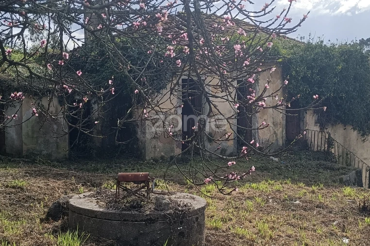 Moradia T4 para Venda em Nogueira do Cravo e Pindelo Foto 14